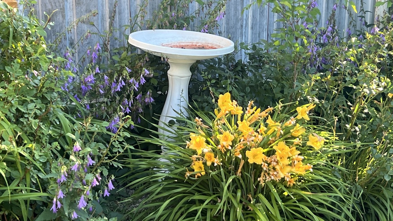 Photo of Outdoor in Raton
