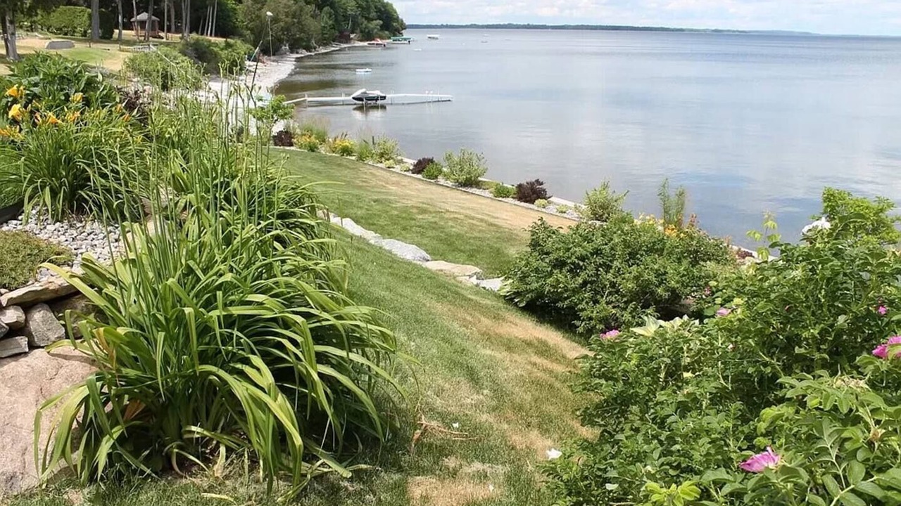 Photo of Others in Cumberland Head