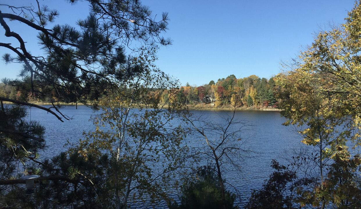 Photo of Outdoor in Crosslake
