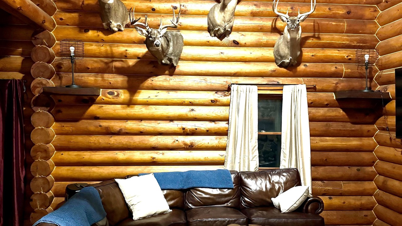 Photo of Bedroom in Harmony