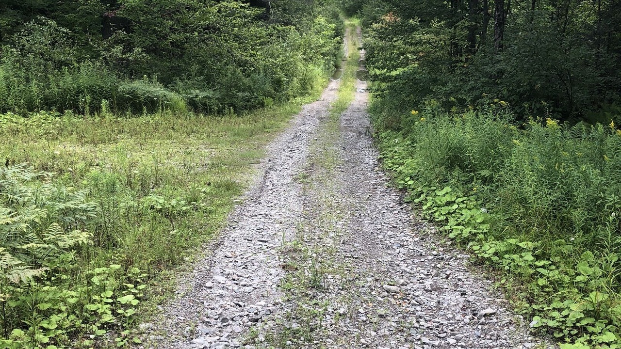 Photo of Outdoor in Londonderry