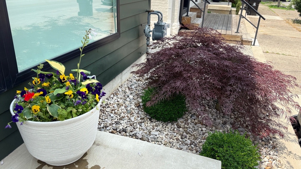 Photo of Outdoor in Phoenix Hill