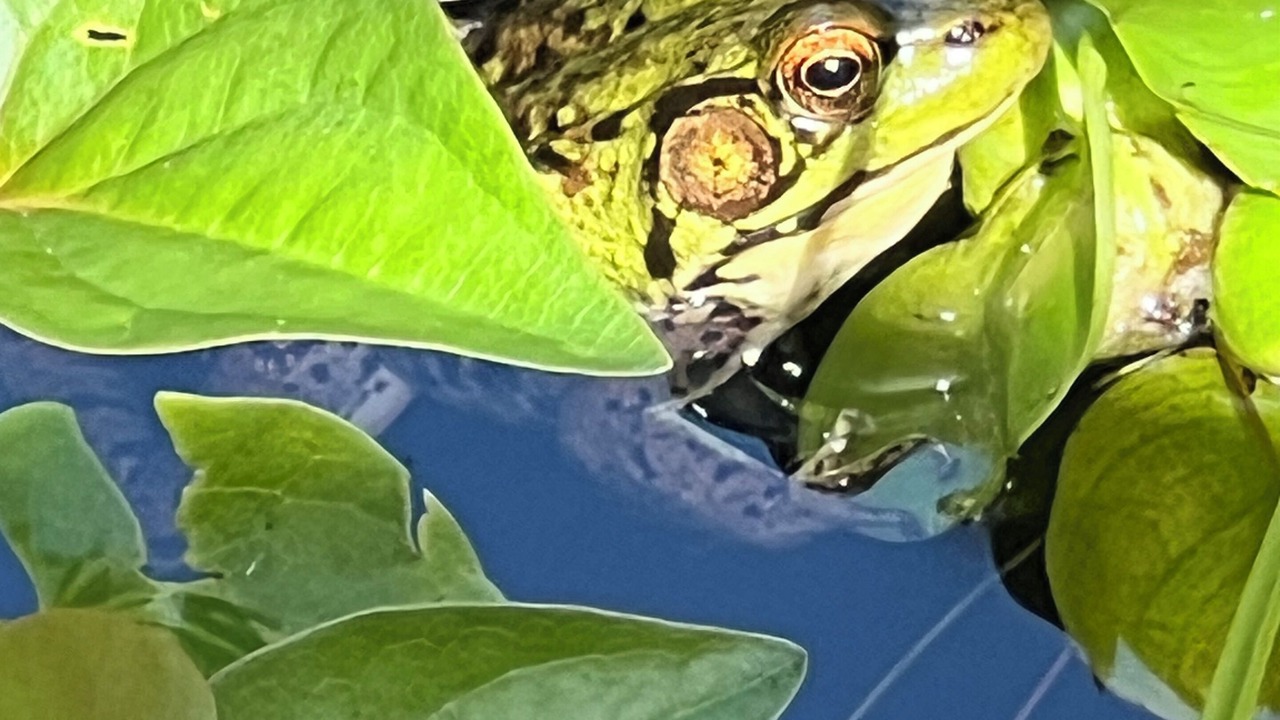 Photo of Others in Glendale