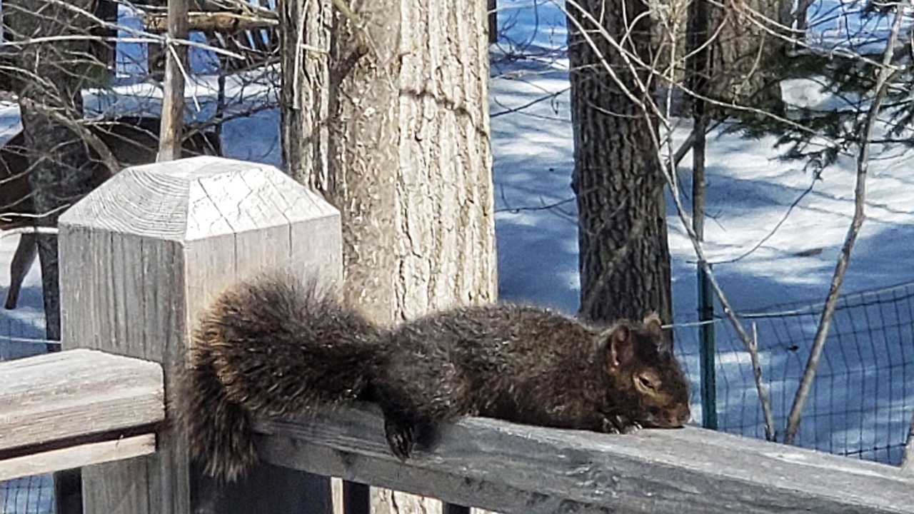 Photo of Outdoor in Minocqua