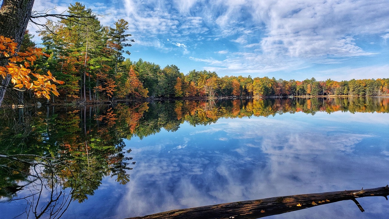 Photo of Outdoor in Minocqua