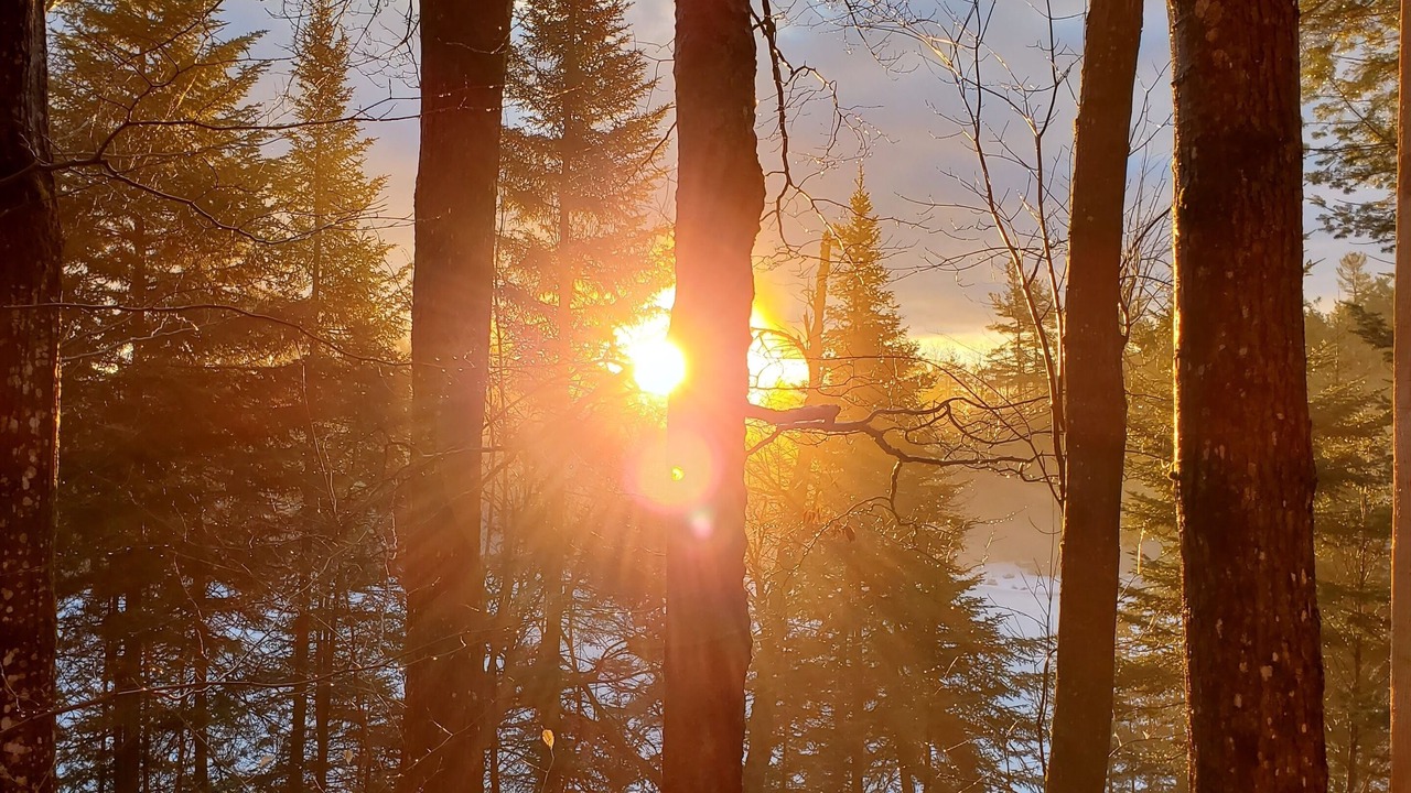 Photo of Outdoor in Grafton