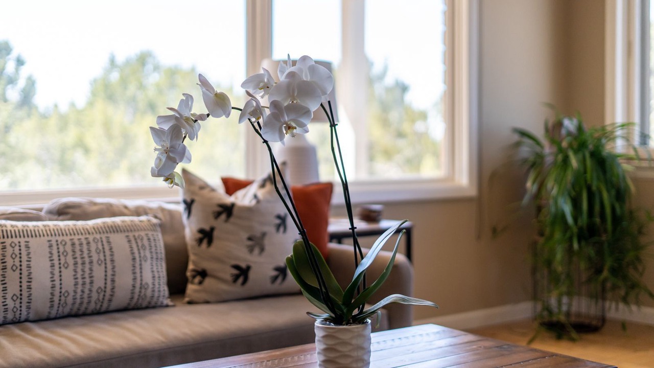 Photo of Livingroom in Northeast Santa Fe