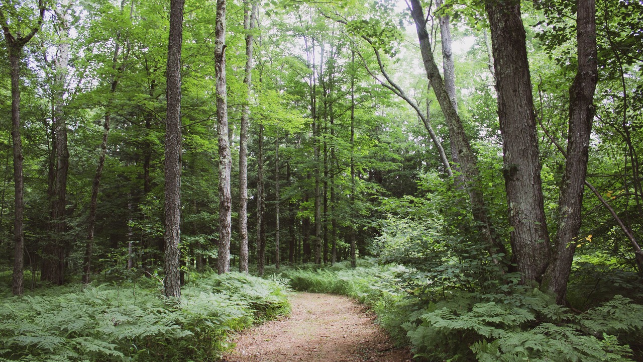 Photo of Outdoor in Russell