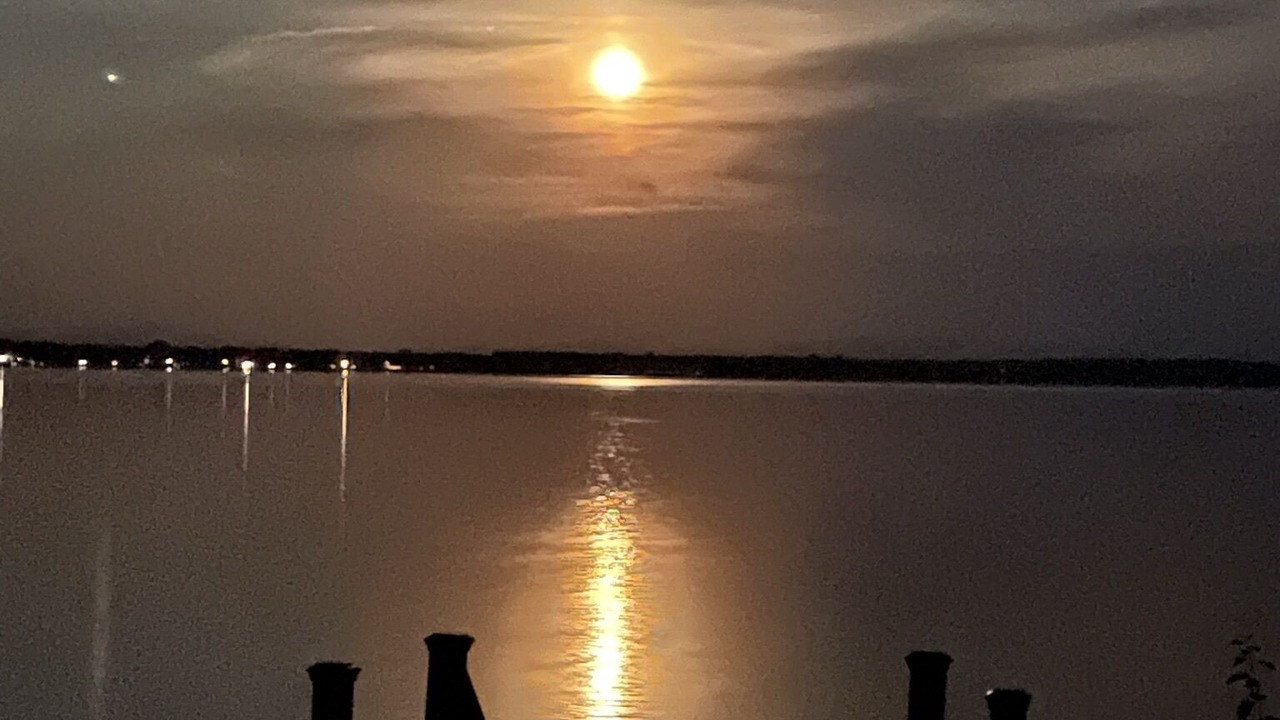 Photo of Outdoor in Champlain