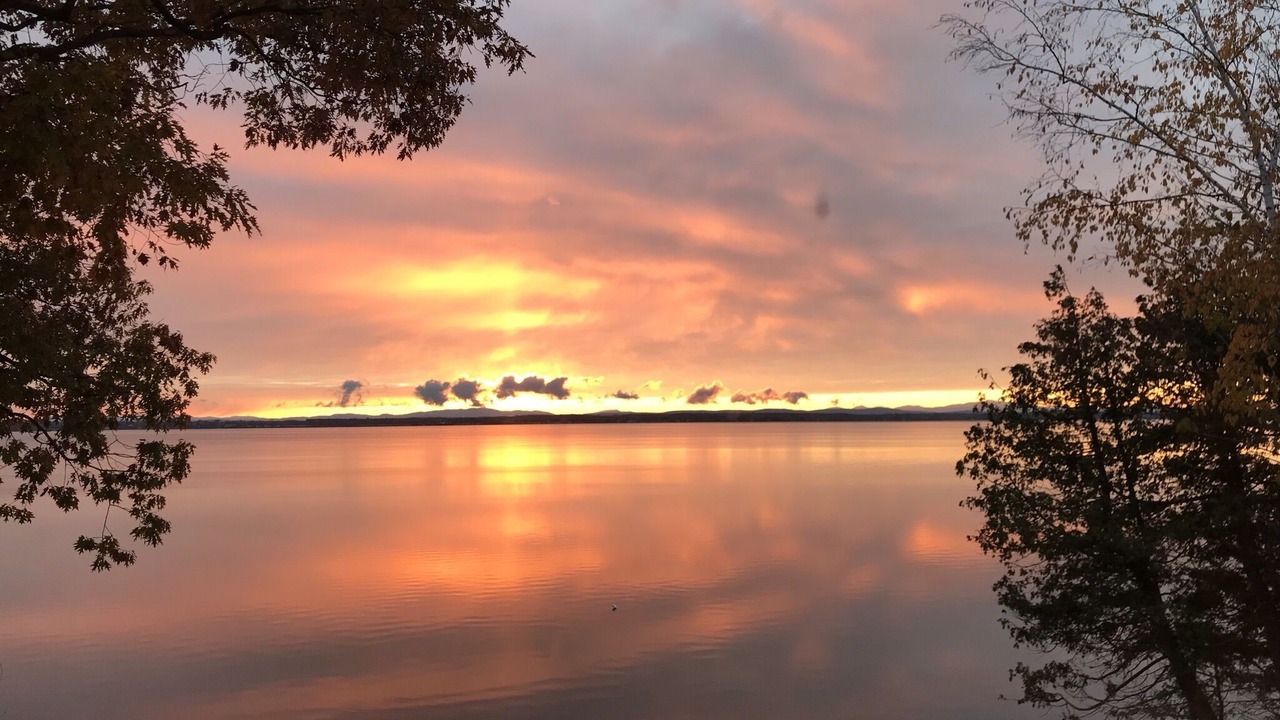 Photo of Others in Champlain