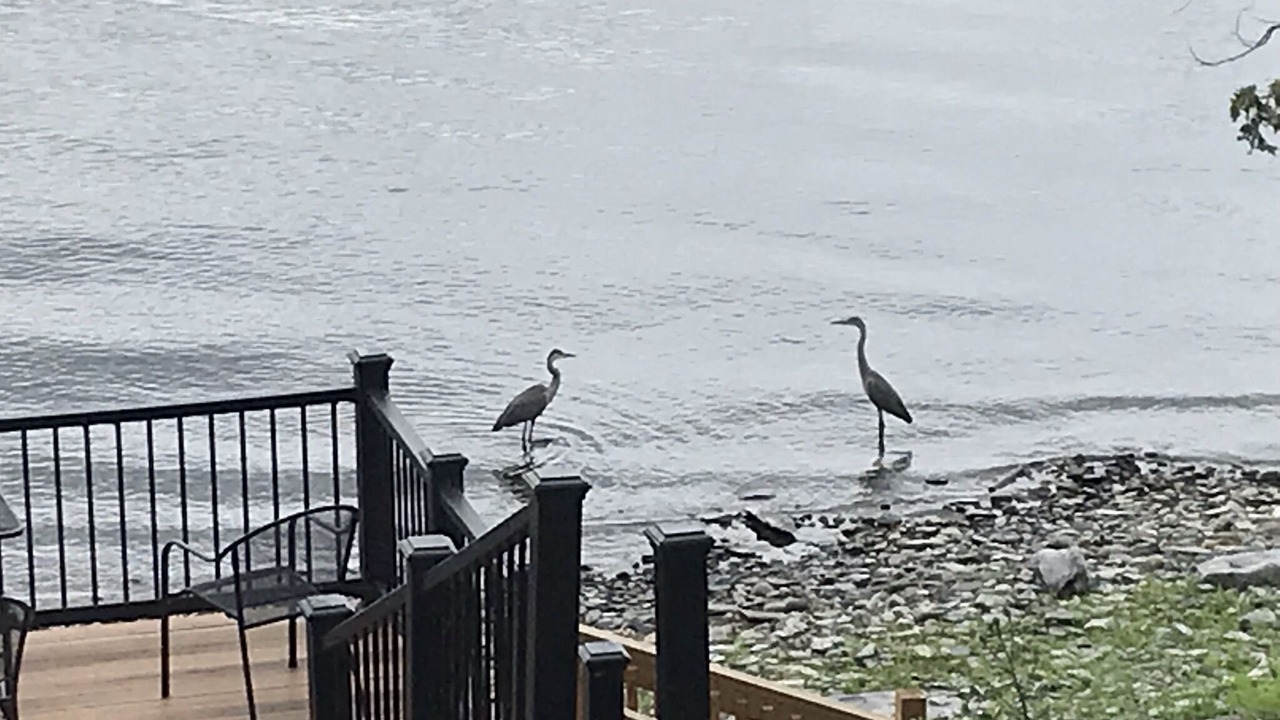Photo of Outdoor in Champlain