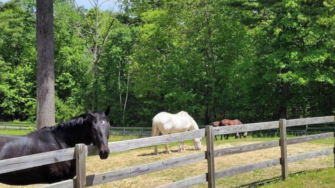 Photo of Outdoor in Belchertown