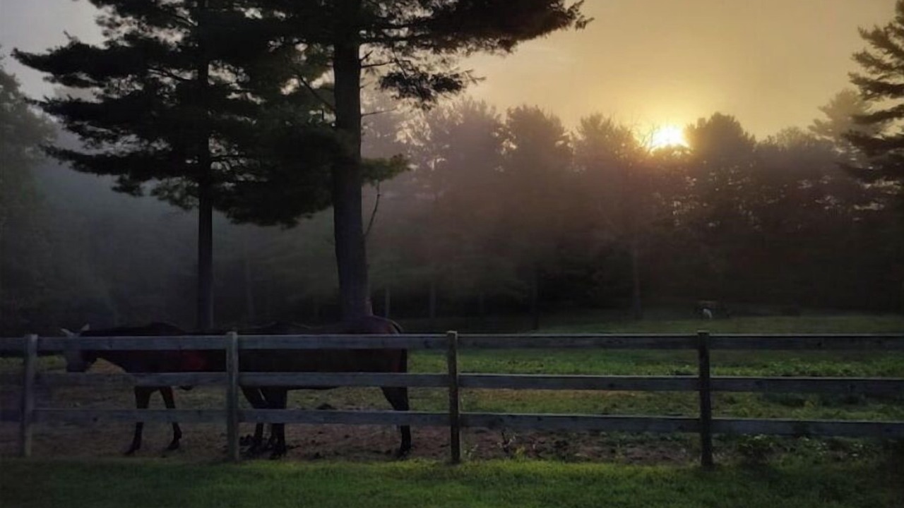 Photo of Outdoor in Belchertown
