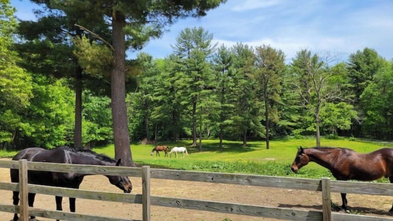 Photo of Outdoor in Belchertown