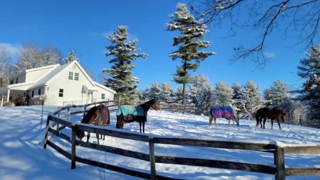 Photo of Others in Belchertown