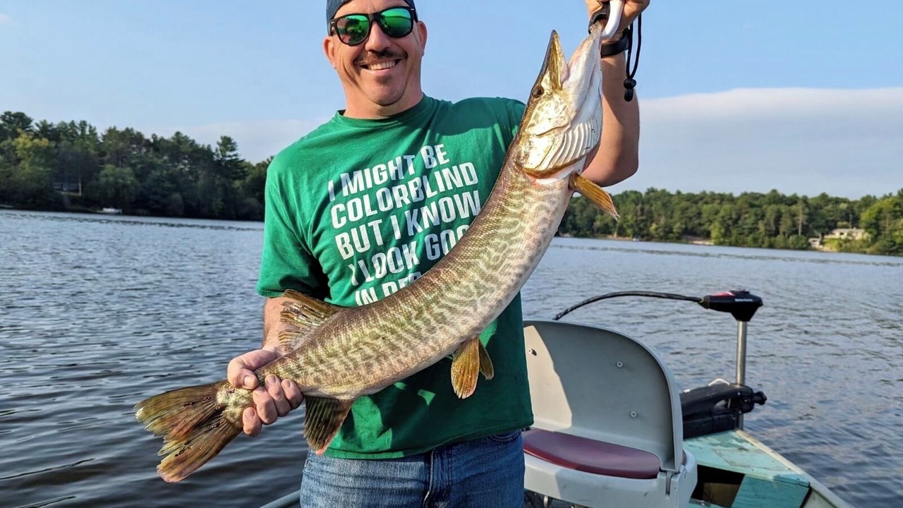 Photo of Others in Augusta