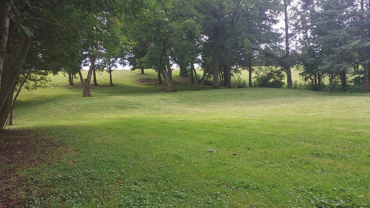 Photo of Others in Alburg