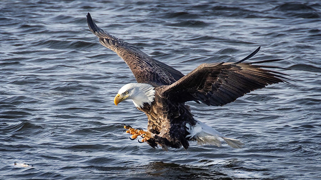 Photo of Others in Lake City