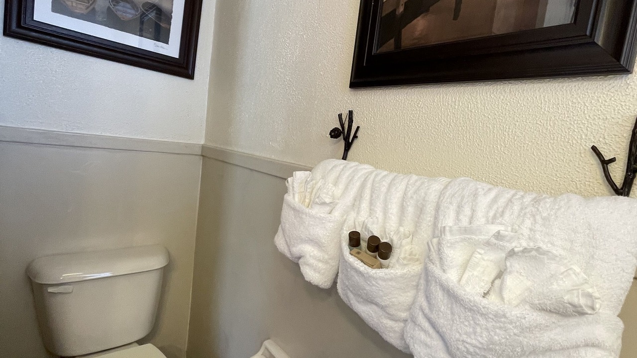 Photo of Bathroom in Mount Ida