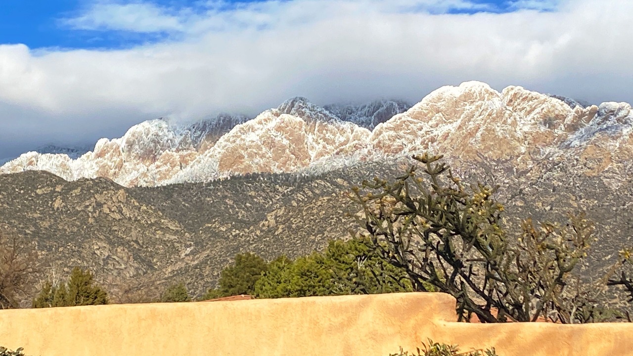 Photo of Others in Sandia Heights South