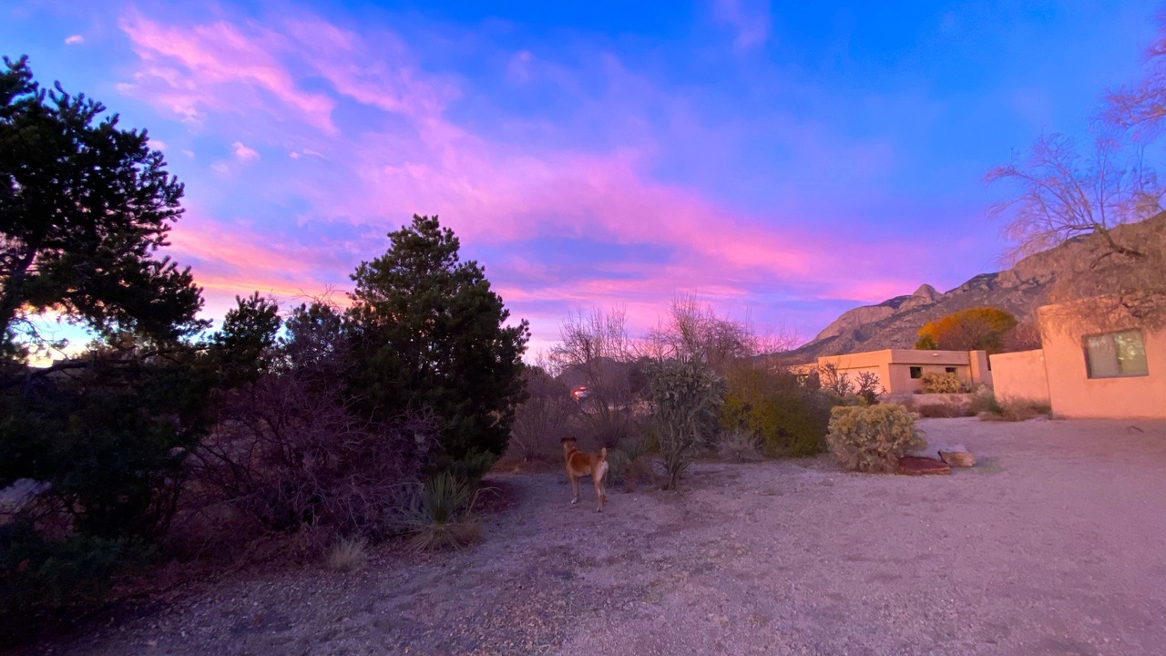 Photo of Outdoor in Sandia Heights South