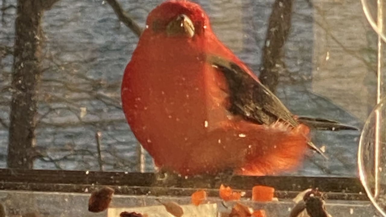 Photo of Others in Breezy Point