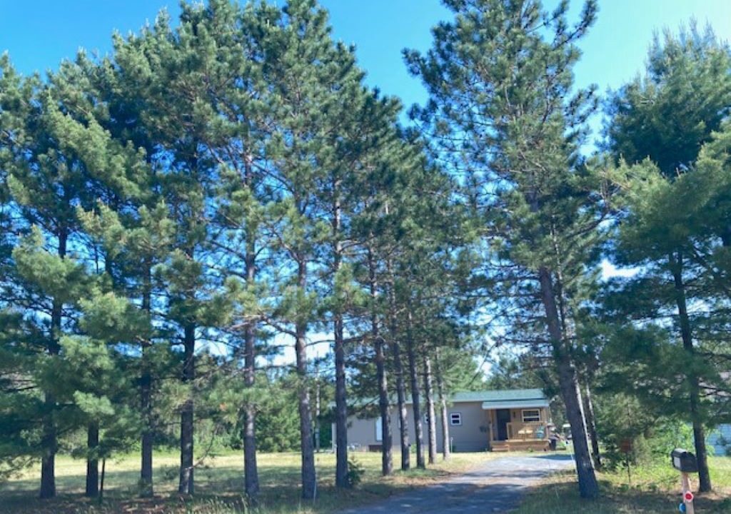 Photo of Outdoor in Necedah