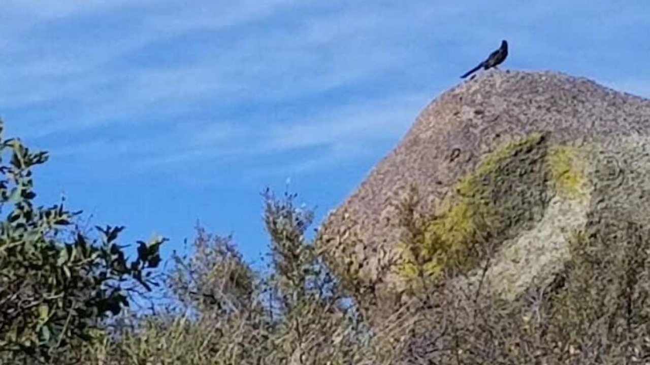 Photo of Others in University Heights
