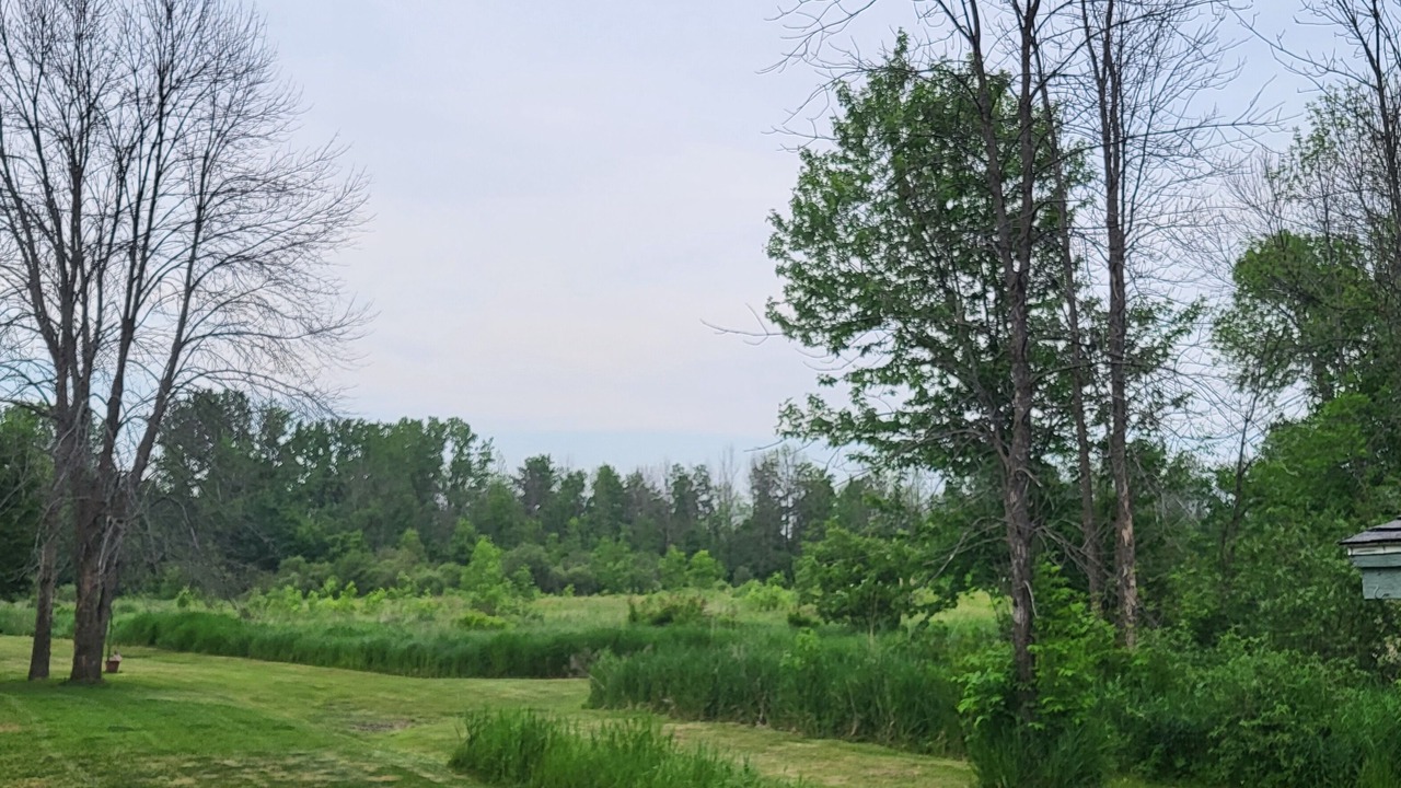 Photo of Outdoor in Alburg