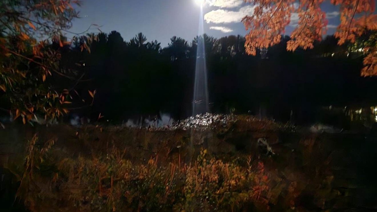 Photo of Outdoor in Benton County