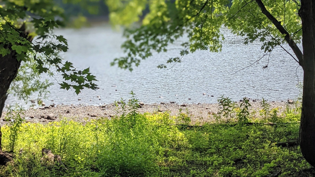 Photo of Outdoor in Benton County