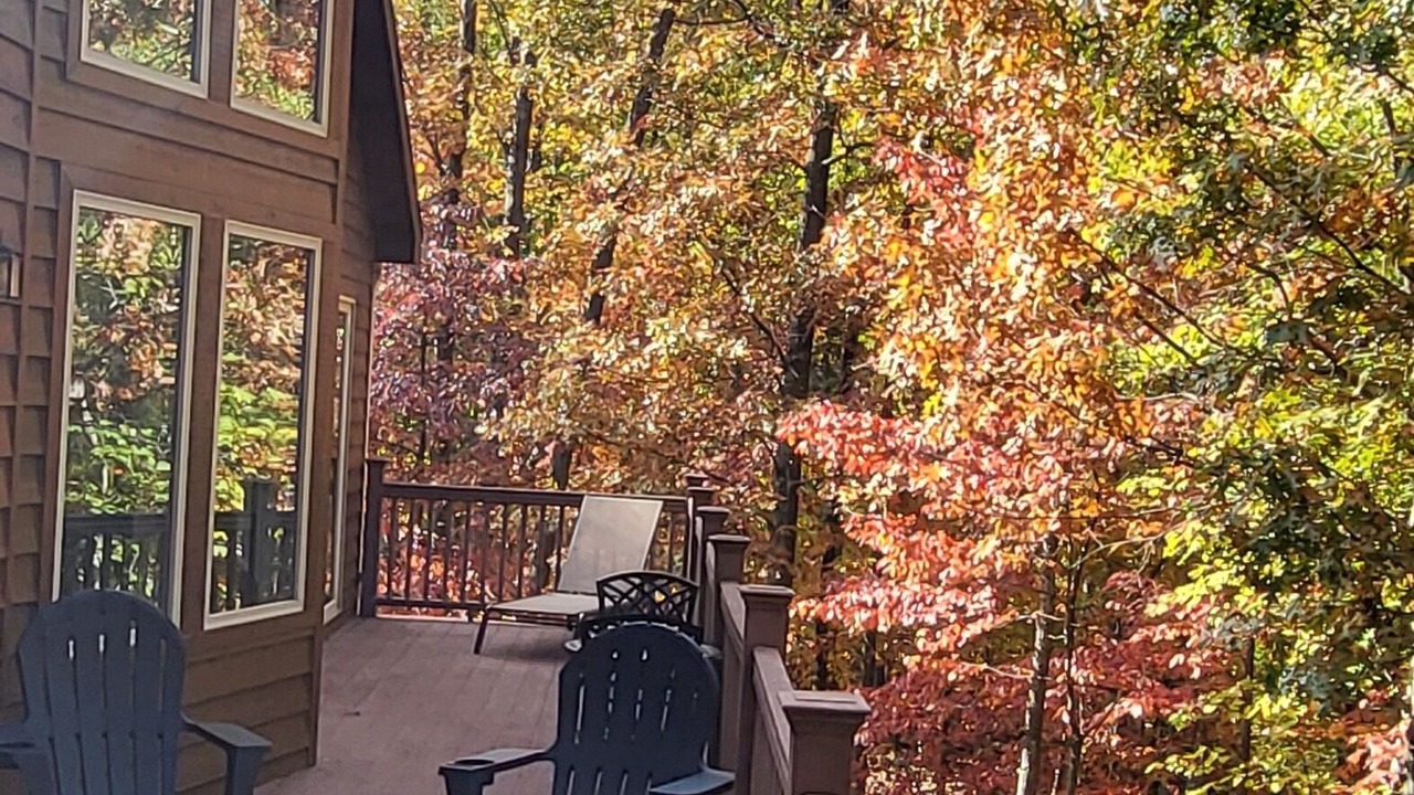 Photo of Patio Balcony in The Woods