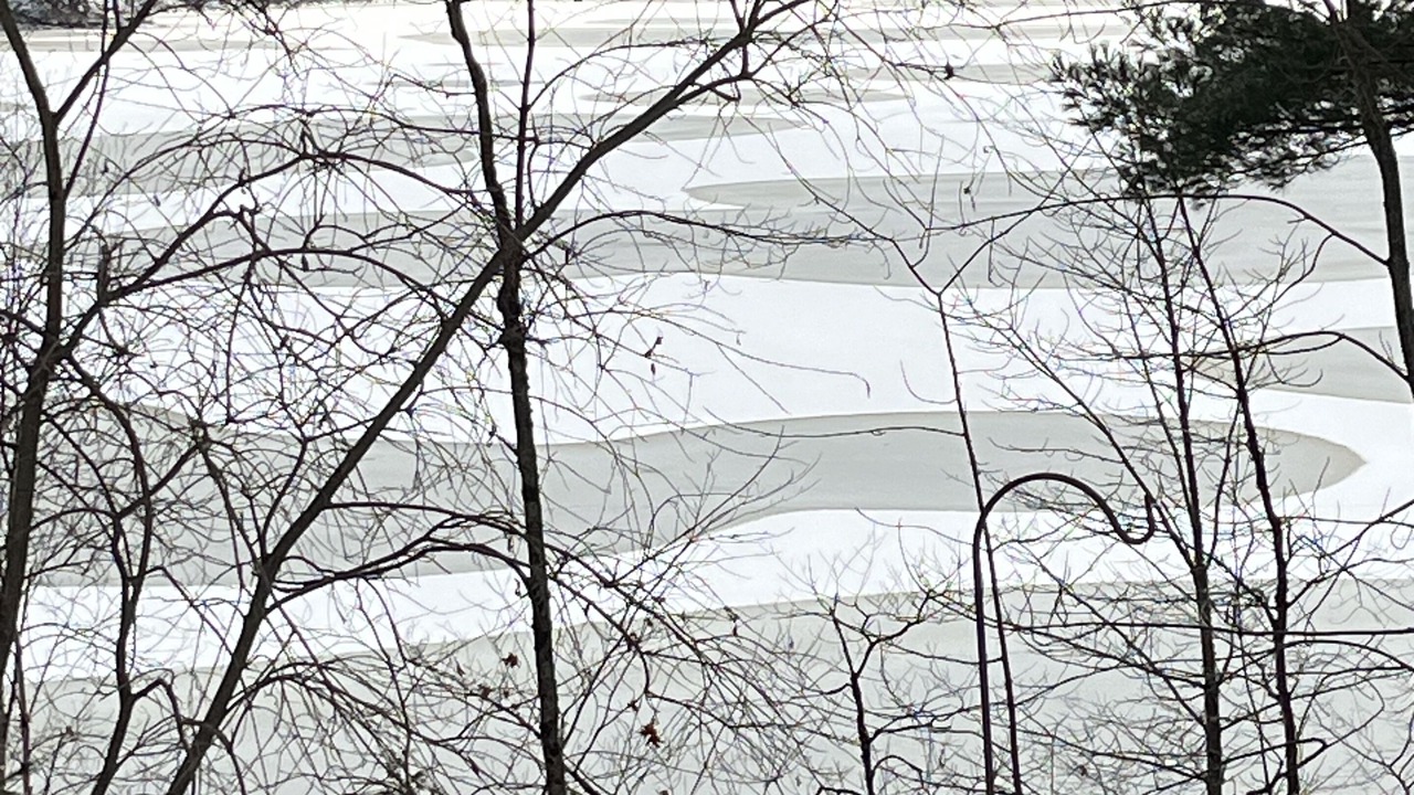 Photo of Others in Long Lake