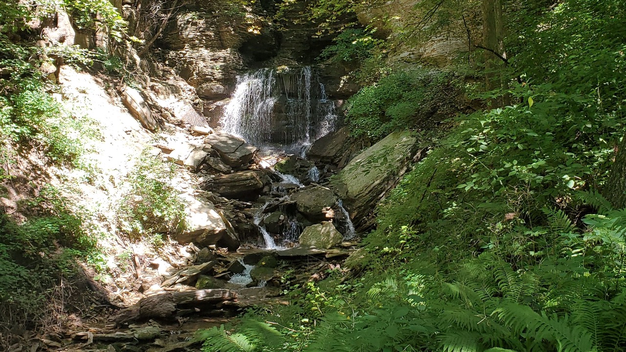 Photo of Outdoor in Decorah