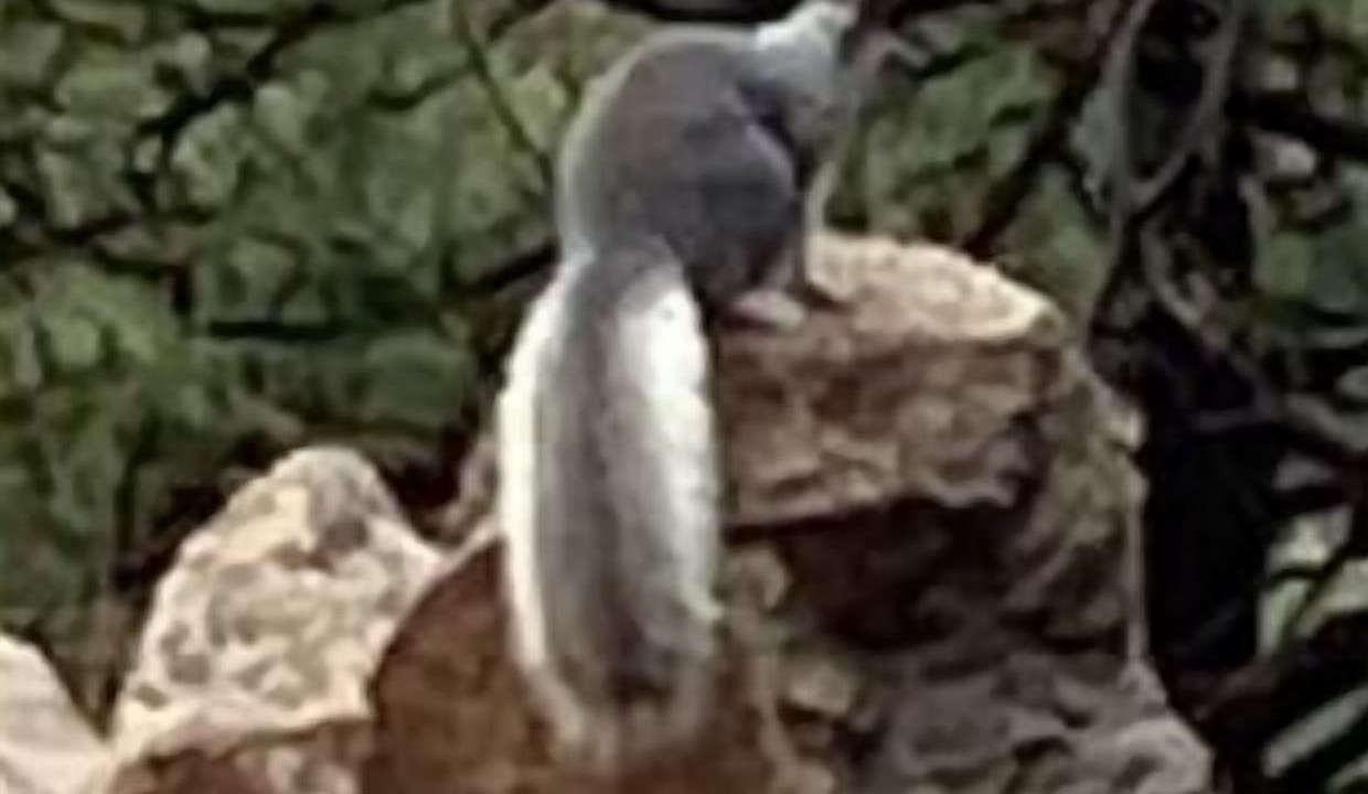 Photo of Outdoor in Santa Fe