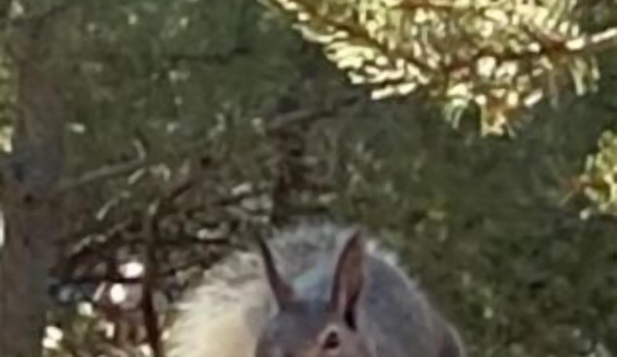 Photo of Others in Santa Fe