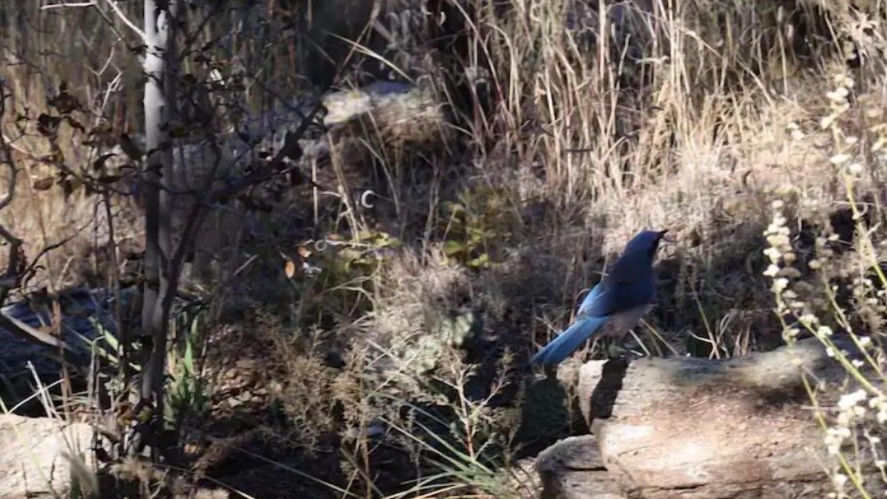 Photo of Outdoor in Santa Fe