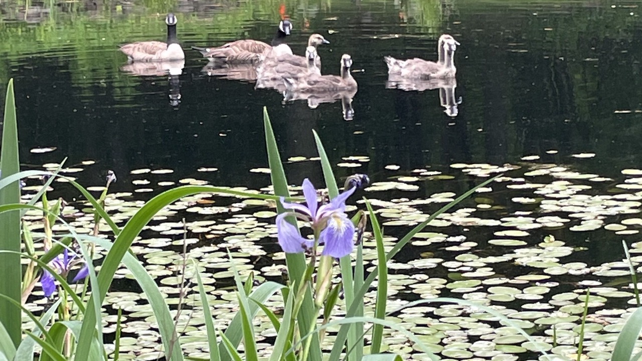 Photo of Outdoor in Canton