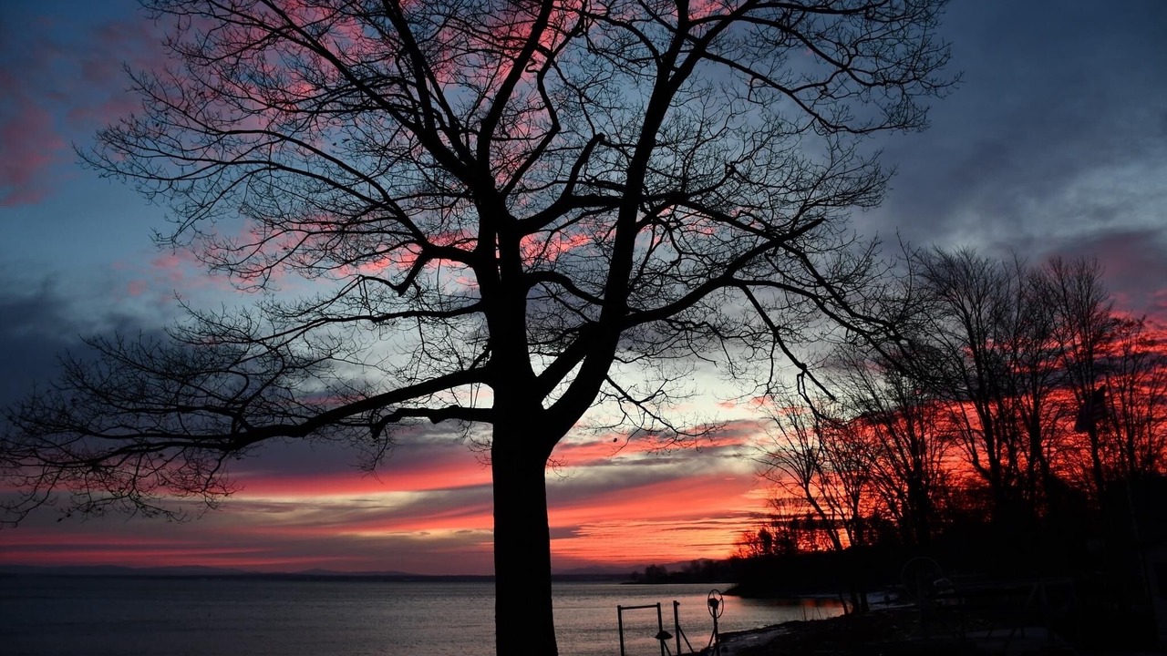 Photo of Outdoor in Cumberland Head