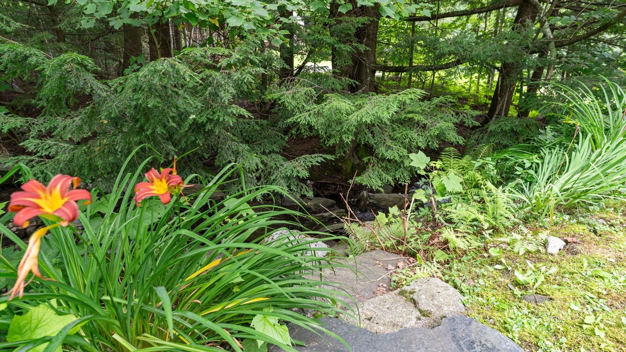 Photo of Outdoor in Jeffersonville