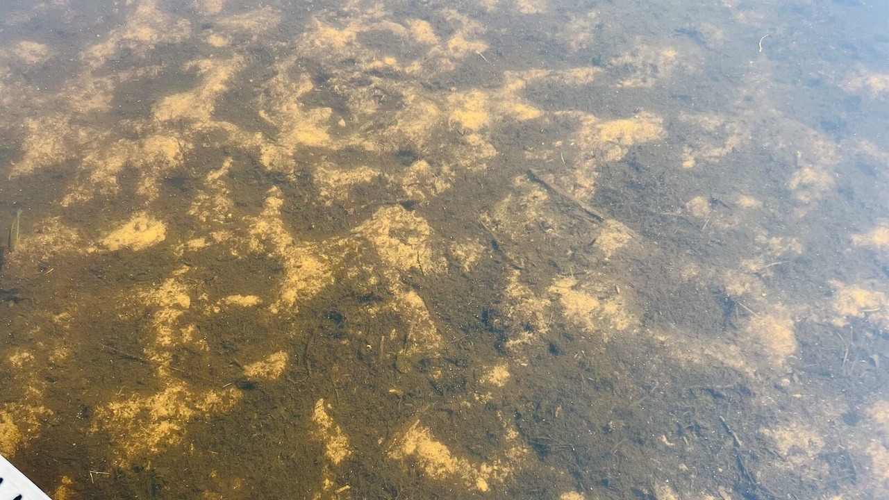 Photo of Outdoor in Stone Lake