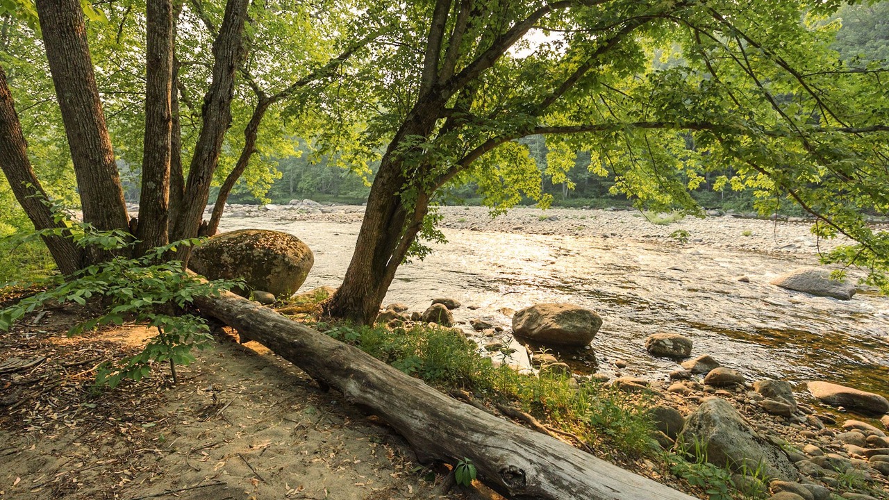 Photo of Others in Upper Jay