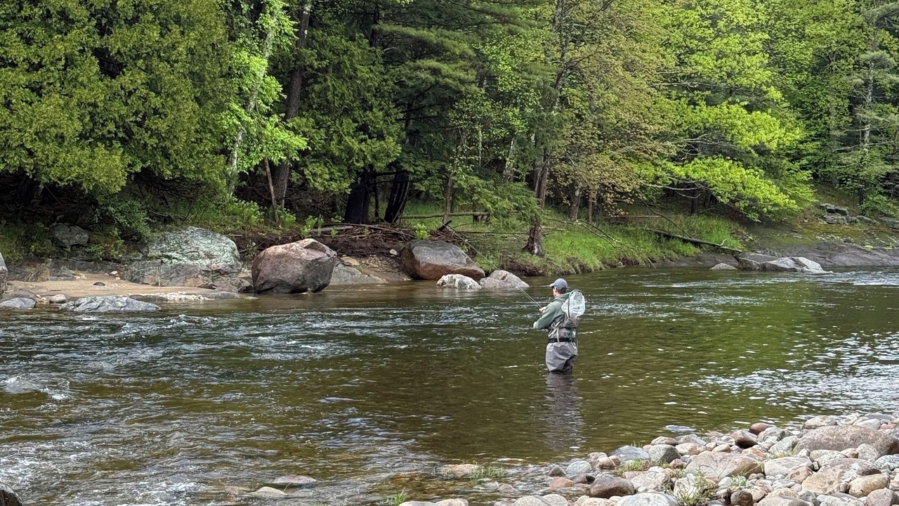 Photo of Others in Upper Jay