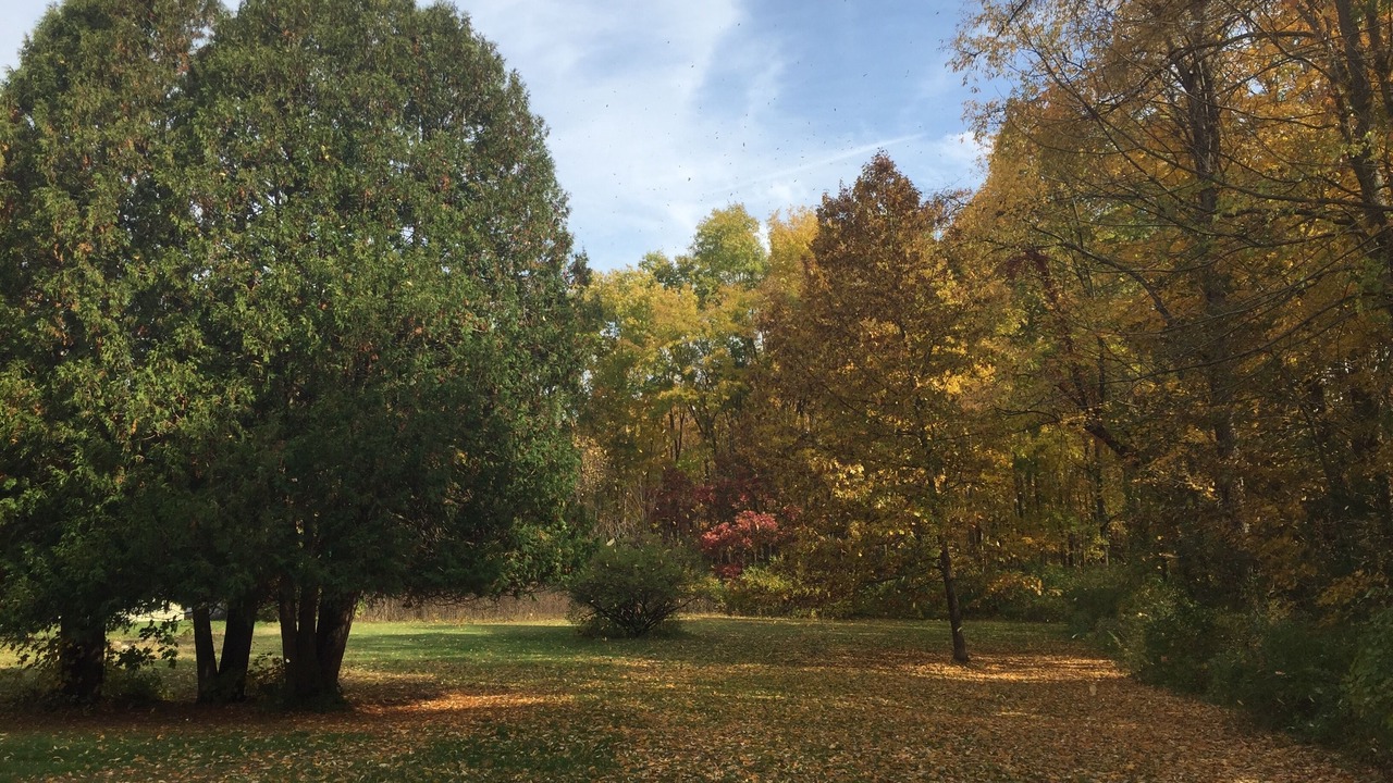 Photo of Outdoor in Saratoga Springs