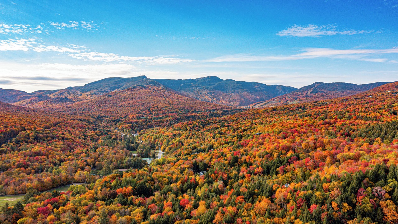 Photo of Others in Stowe Area