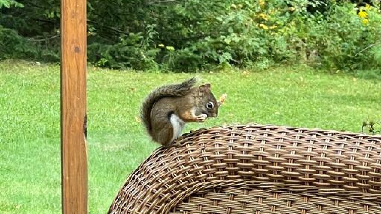 Photo of Others in Tupper Lake