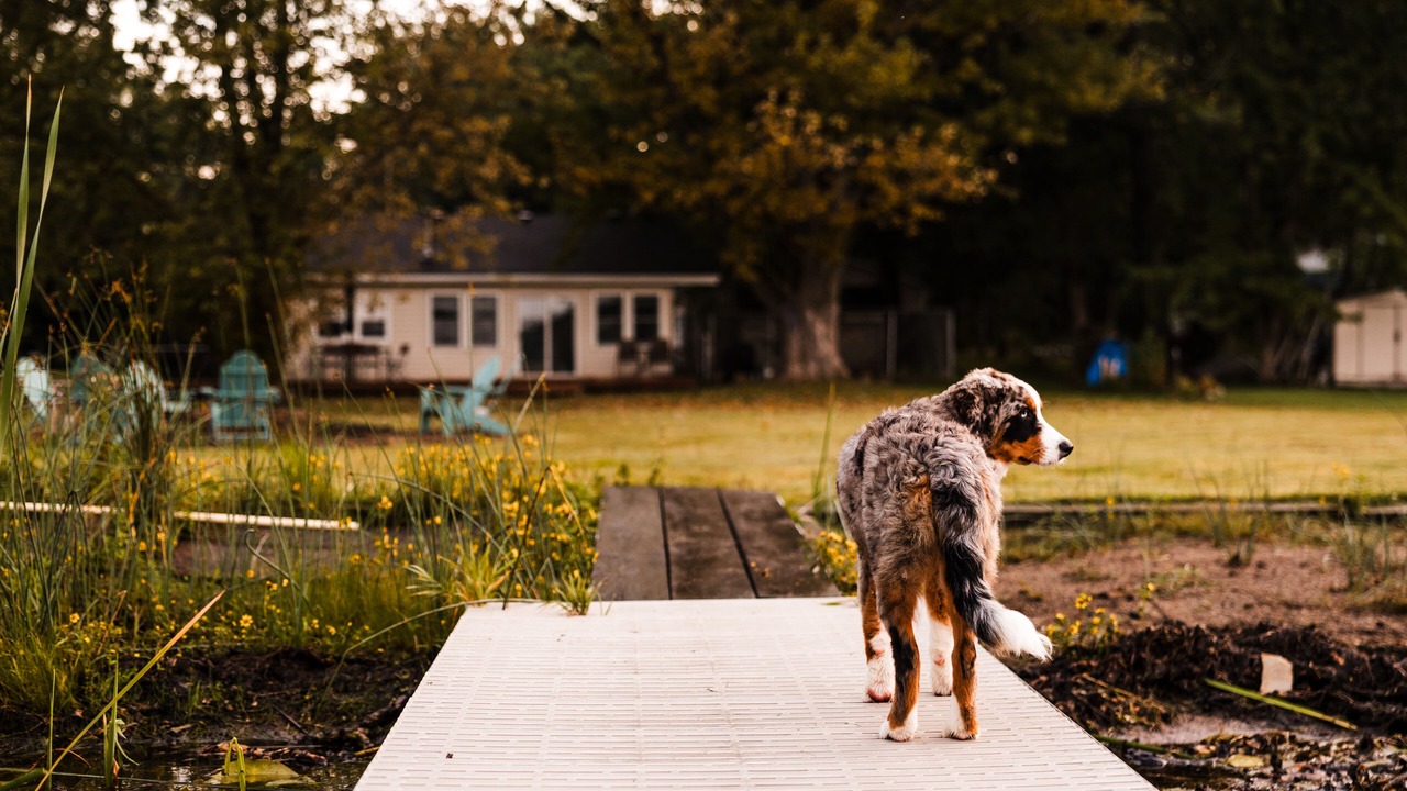 Photo of Outdoor in Wyoming
