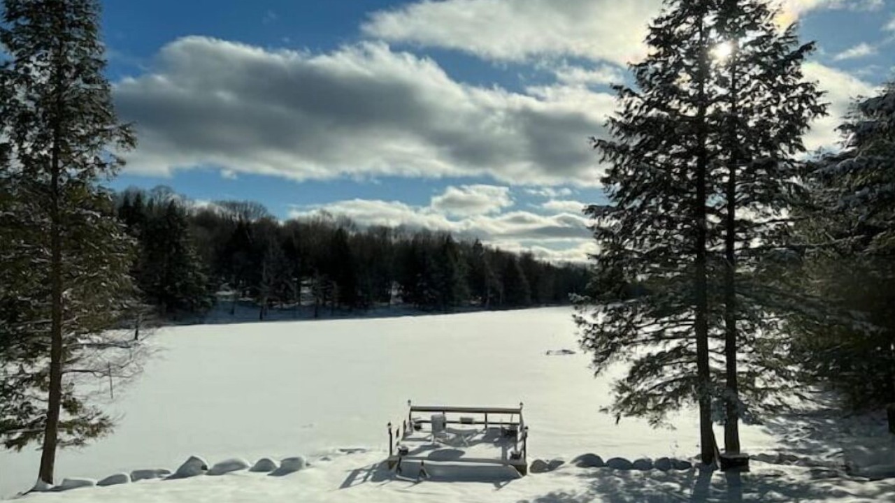 Photo of Outdoor in Town of Diana