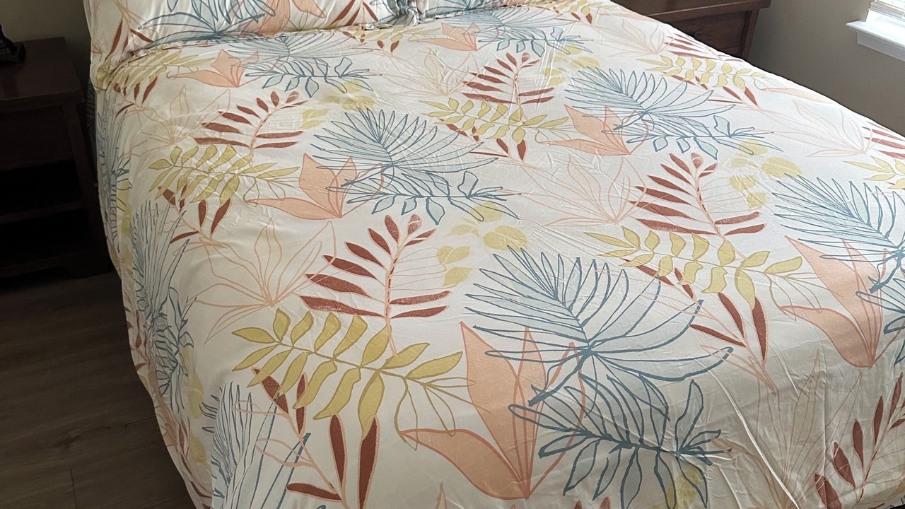 Photo of Bedroom in North Chesterfield