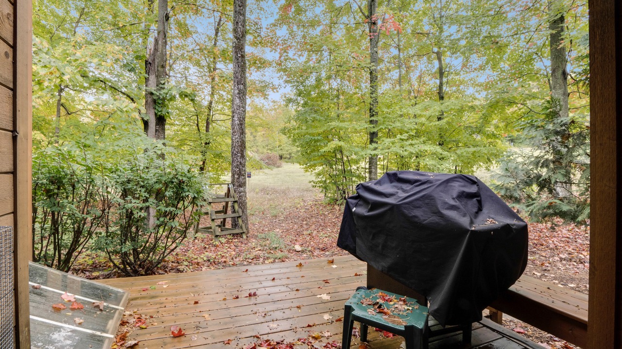 Photo of Outdoor in Boyne Falls